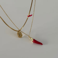 Asimetrik Harf Kolye- Biber Kombin /925 Gümüş